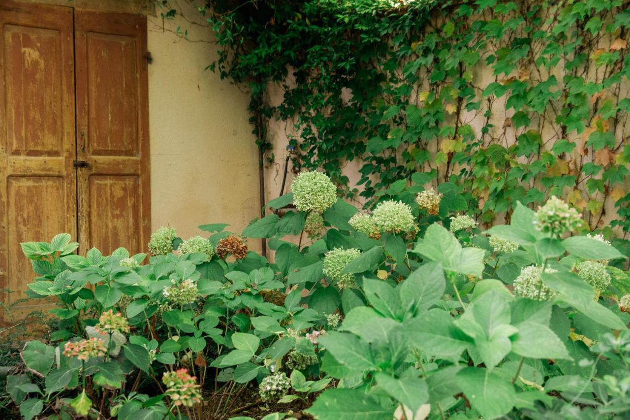 Casale Hortensia Reggio nell'Emilia Zewnętrze zdjęcie