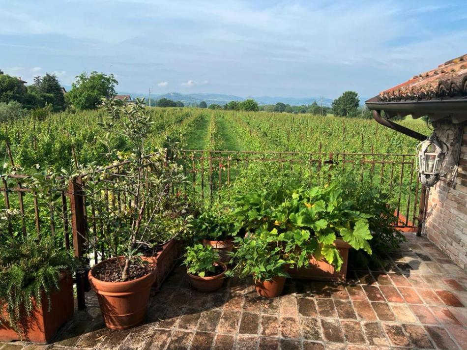 Casale Hortensia Reggio nell'Emilia Zewnętrze zdjęcie